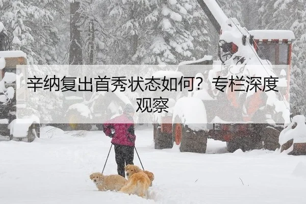 辛纳复出首秀状态如何？专栏深度观察